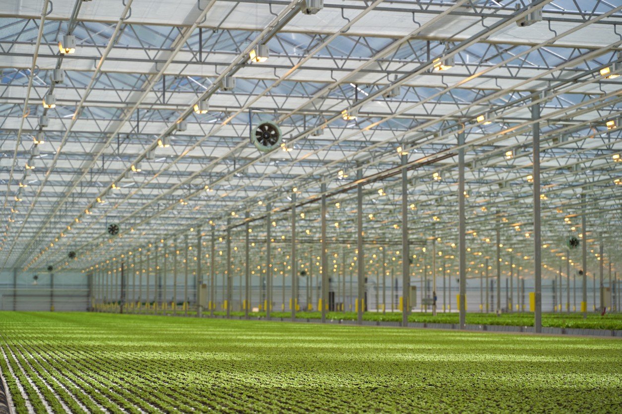 Al Khor Greenhouse Complex